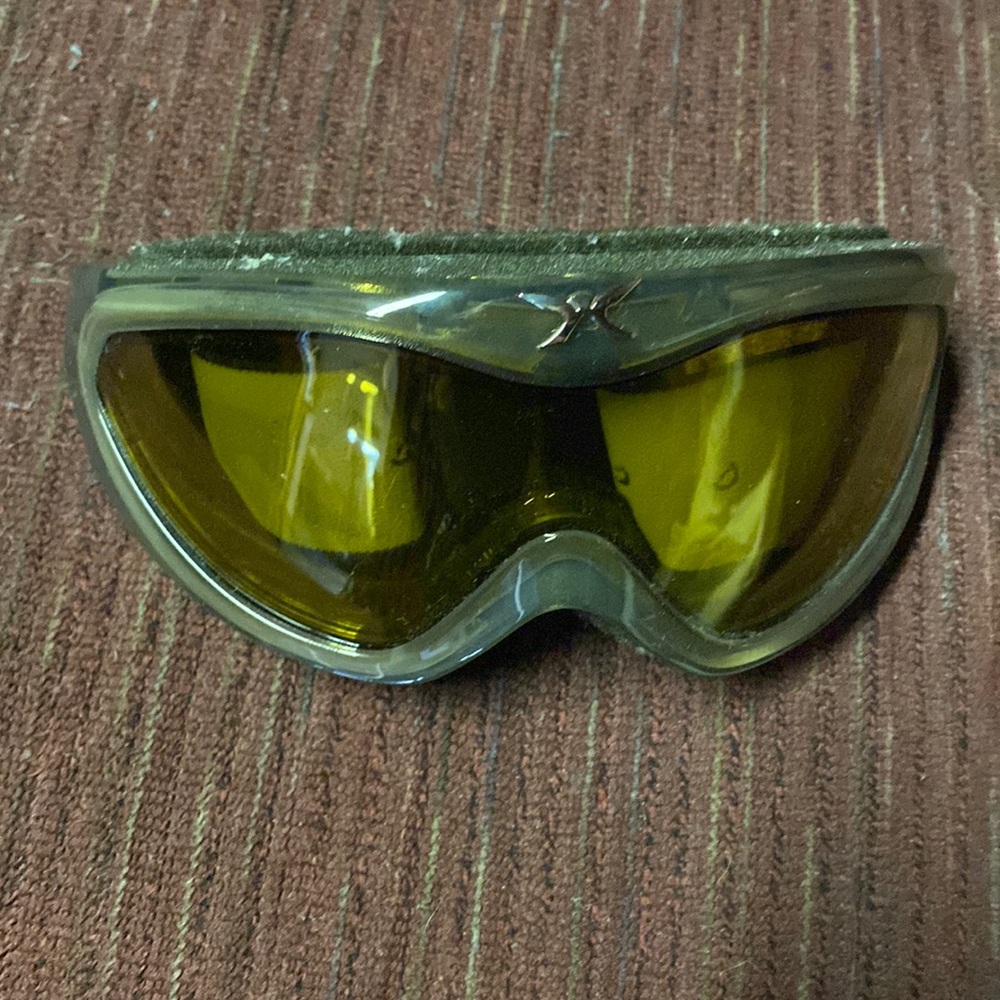 Chameleon Ski Glasses